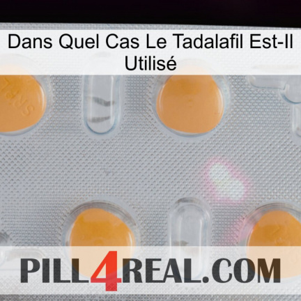 Dans Quel Cas Le Tadalafil Est-Il Utilisé 24
